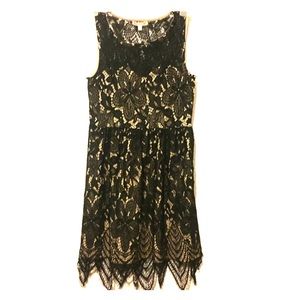 Love Fire Black & Nude  Sheath Lace Scallop Dress